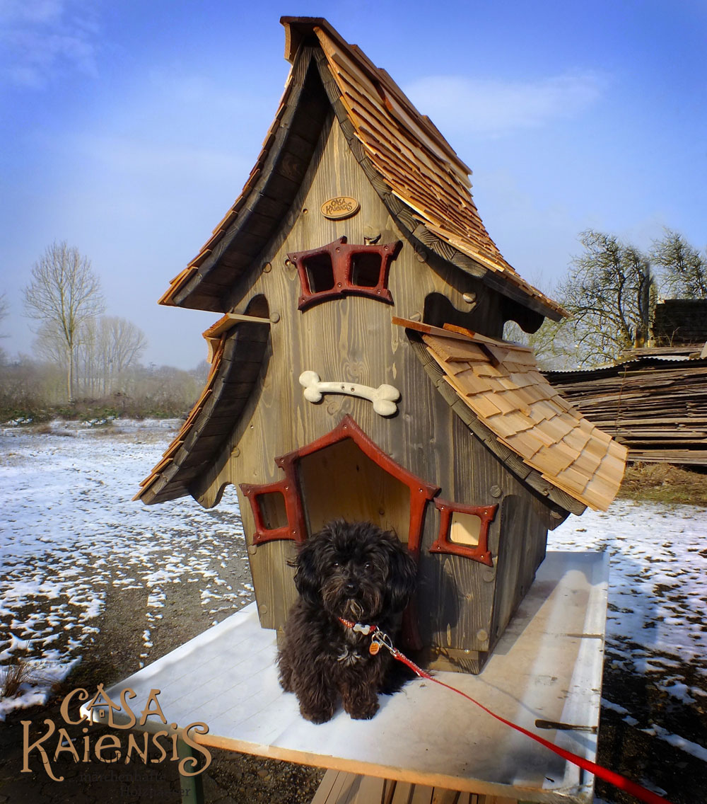 cabanes chien
