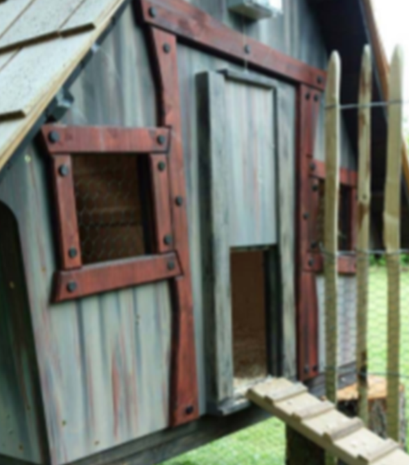 cabanes-poules-