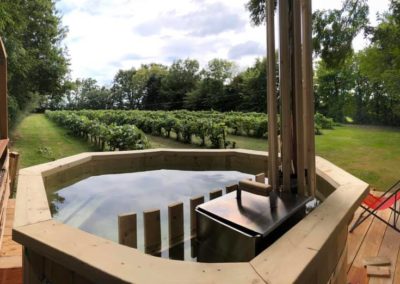 Bain finlandais_bois_poêle à bois