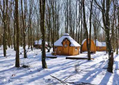 Kota finlandais_brocéliande_neige